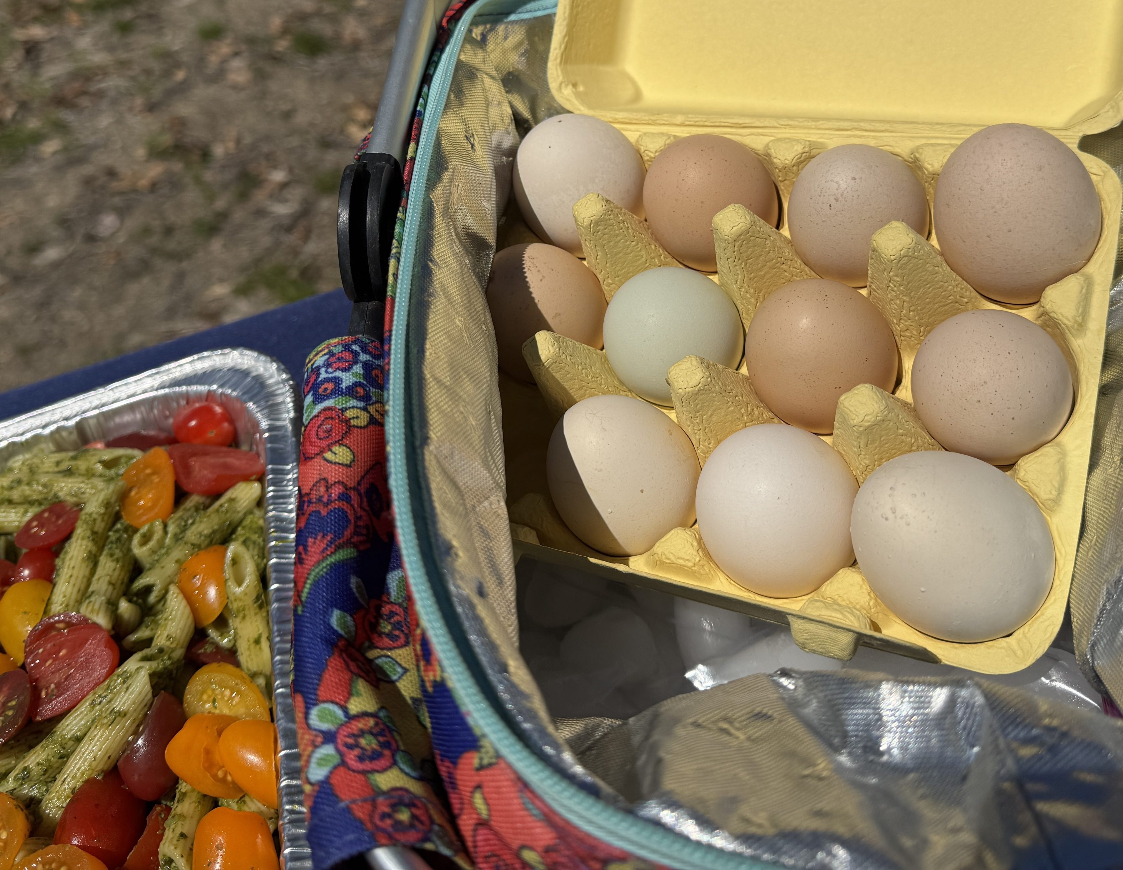 May Day Potluck Picnic 2026