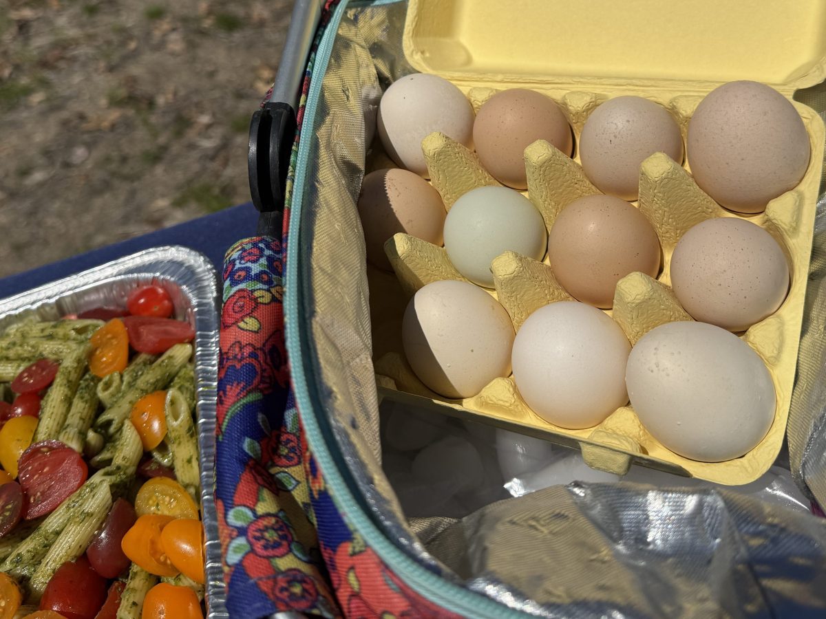 May Day Potluck Picnic&nbsp;2026